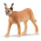 Schleich Schleich Caracal Female 1