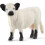 Schleich Schleich Galloway Cow 1