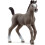 Schleich Schleich Cheval De Selle Francais Foal 1