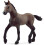 Schleich Schleich Paso Peruano Foal 1