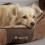 Scruffs Scruffs Chester Box Bed (M) Chocolate 2