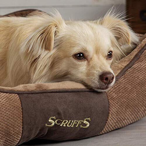 Scruffs Scruffs Chester Box Bed (M) Chocolate 1
