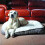 Rosewood Plush/Tweed Teddy Bear Mat 90Cm 2