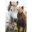 Aubiose Pet Bedding 4