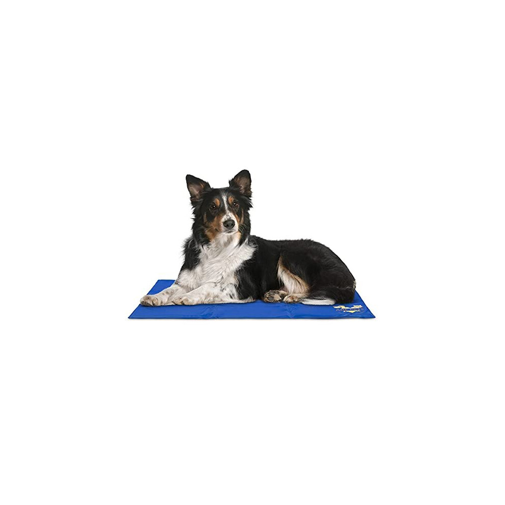 Photos - Bed & Furniture Pet Dog Self Cooling Mat Pad for Kennels, Crates and Beds 23x35 - Arf Pets