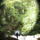 90000LM LED Headlight Flashlight Head Torch Fish Light Rechargeable 10