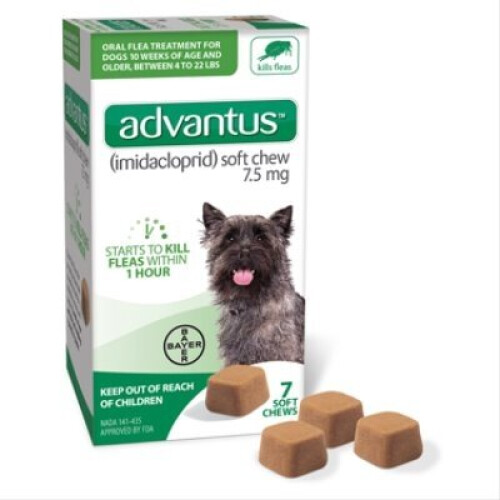 7PKAdvantus Chew SM Dog -85274341