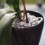 Lava-Lite Orchid Gro+ - 3L 2