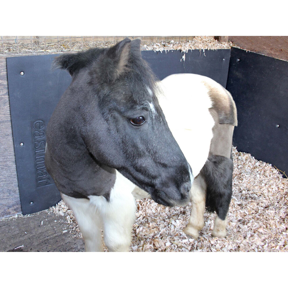 Stable Wall Mats Horsebox Trailer EVA 6ftx4ft 10mm thick Easimat