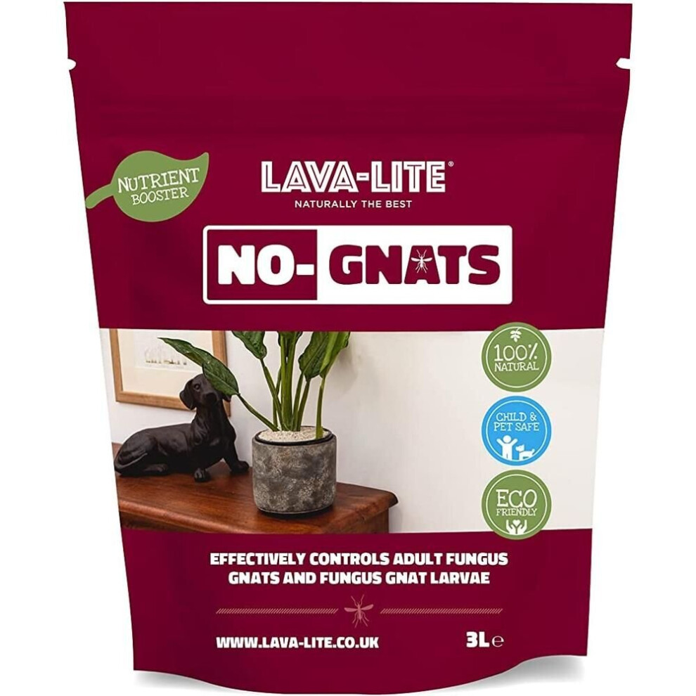 Lava-Lite No - Gnats - 3L