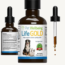 Pet Wellbeing Life Gold for Cats - Natural Cancer Support for Felines, 2 oz (59 ml)