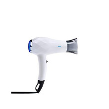 InStyler Ceramic & Lightweight MINI Ionic Blow Dryer | Professional Styling on the Go | Reduce Fizz & Straighten Hair | Travel Size | Dual Voltage |