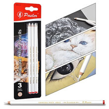 Pasler White Charcoal Pencils Set - 3 PCS Sketch Highlight White Pencils til tegning