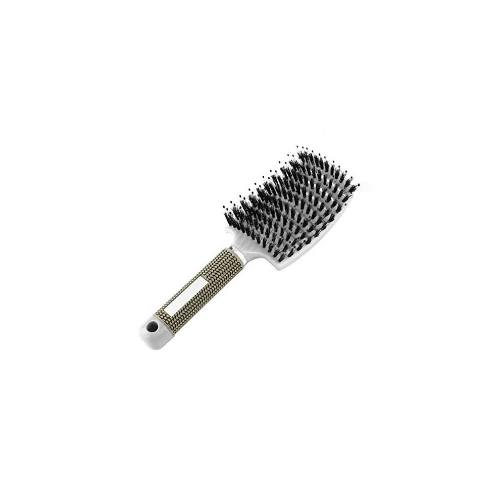 Detangling Nylon Bristle Brush, Curved Vented Boar Bristle Styling Hair Brush, Wet or Dry Use, Anti-static Detangler, Fast Blow Drying, Use for Long