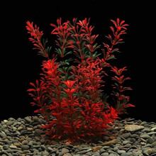 Large Aquarium Plants Artificial Plastic Fish Tank Plants Decoration Ornament Safe for All Fish 30cm x 10cm - Red