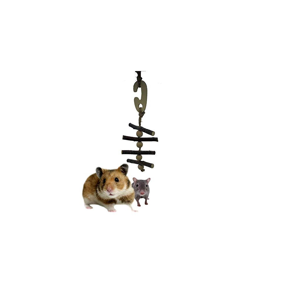 Pet Small Animal Accessories Wooden Hanging Chew Charm Toy Mouse Hamster Rat Gerbil Chinchilla Reptile Chew Toys