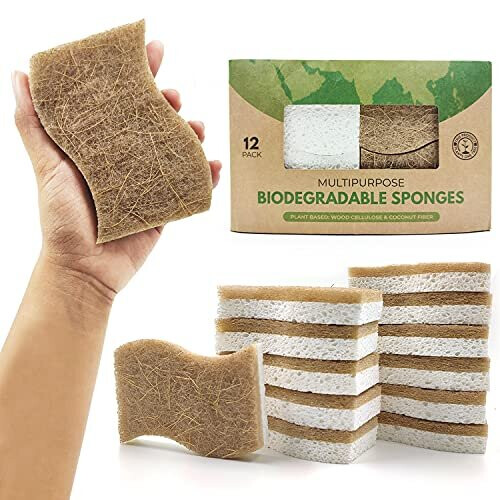 Eco friendly sponges discount