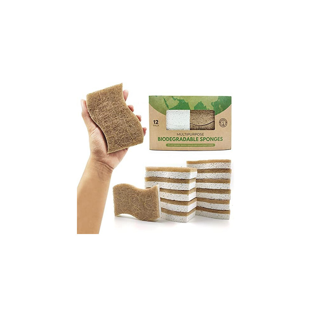 Airnex Biodegradable Eco Sponge - Cellulose And Coconut Husk Scourer Kitchen Sponges - Pack Of 12 Eco Friendly Washing Up Sponges - Image 2