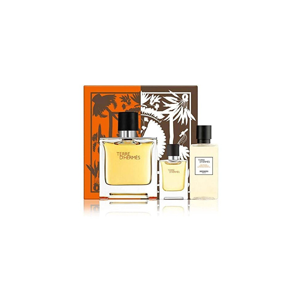 Hermès Terre D'Hermès Gift Set, Eau de Parfum Spray 75ml & 5ml and Shower Gel 40ml
