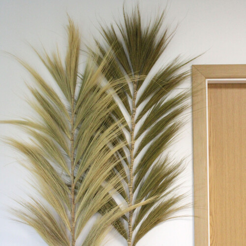 Rayung Grass Blond - 2m 1