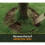 (Black, 1200mm Diameter (4 sections)) Core Edge Garden Tree Rings Border Steel Plants 8