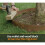 (Black, 1200mm Diameter (4 sections)) Core Edge Garden Tree Rings Border Steel Plants 11