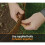(Black, 1200mm Diameter (4 sections)) Core Edge Garden Tree Rings Border Steel Plants 10