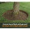 (Black, 1200mm Diameter (4 sections)) Core Edge Garden Tree Rings Border Steel Plants 12