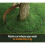 (Galvanised, 900mm Diameter (3 sections)) Core Edge Garden Tree Rings Border Steel Plants 8