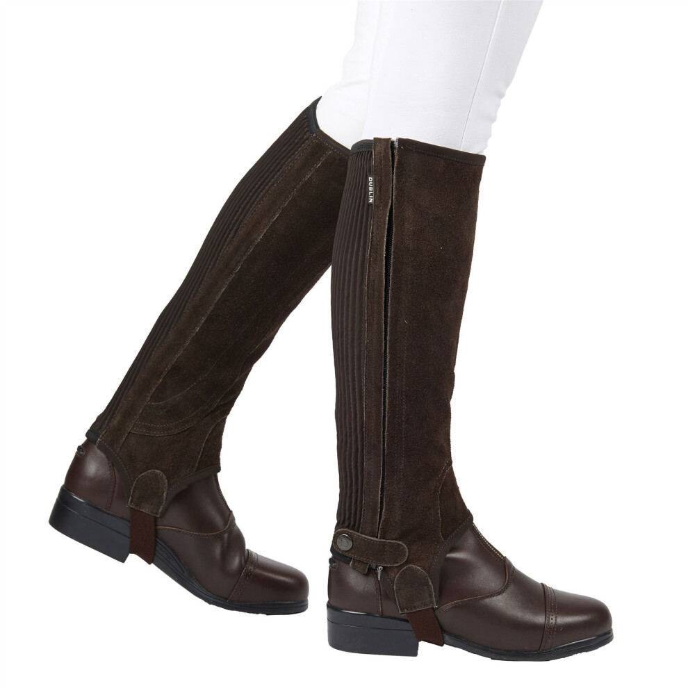 (Brown, Adults X-Large) Dublin Adults Suede Half Chaps