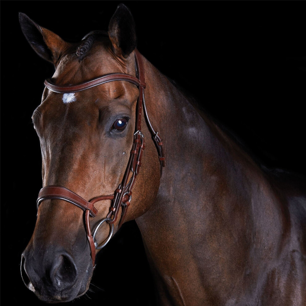 (Brown, Cob) Collegiate Comfitec Training Bridle