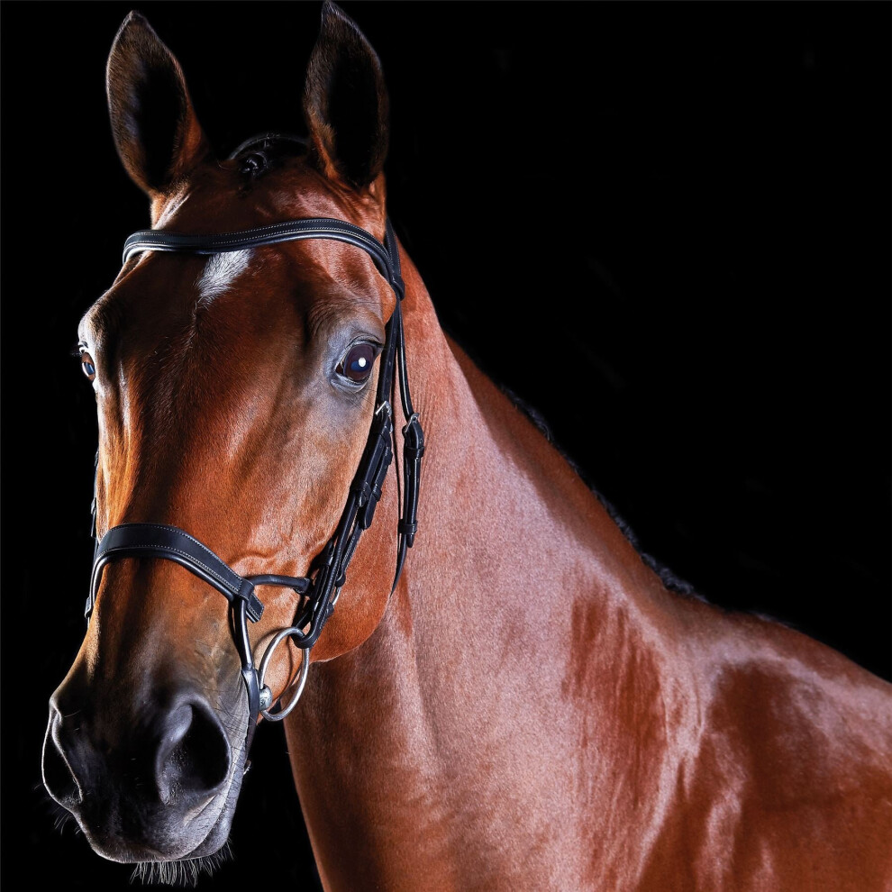 Collegiate Black (, Cob) Comfitec Training Bridle