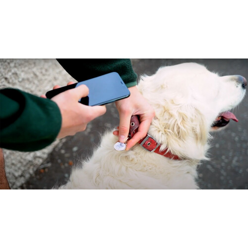 FetchTag Smart Pet Tag Collar ID Tag for Cats or Dog 2