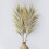 Rayung Grass Blond - 1.6m 1