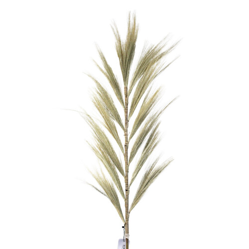 Rayung Grass Blond - 1.6m 1