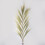 Rayung Grass Blond - 1.6m 3
