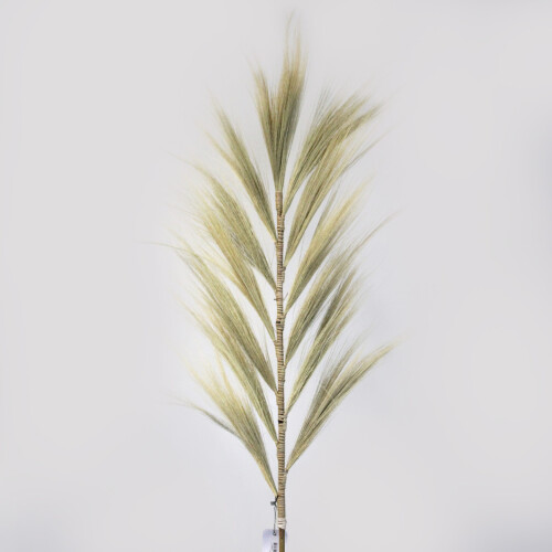 Rayung Grass Blond - 1.6m 2