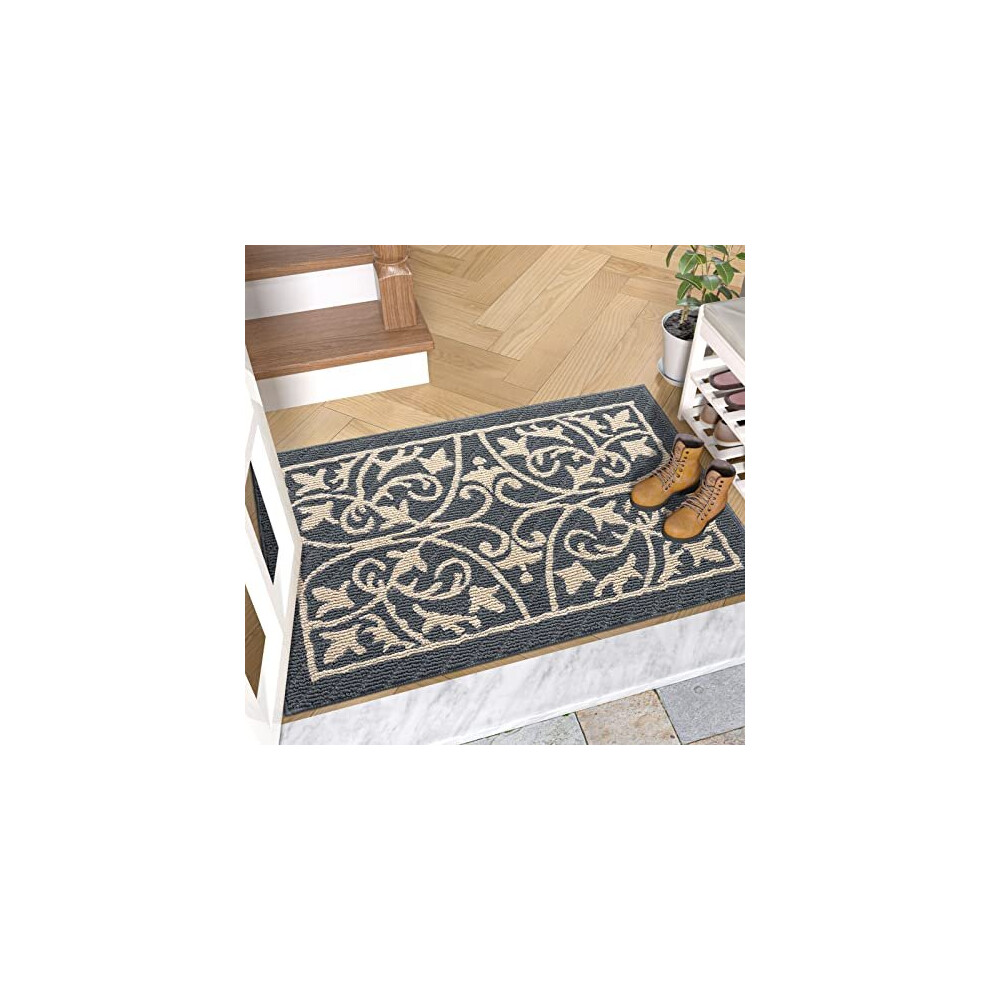 DEXI Paillasson d'entrée d'intérieur, tapis de sol, paillasson d'intérieur, tapis d'entrée avant, lavable en machine, 19,5" x 31,5", gris foncé