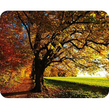 Premium Glass Worktop Saver- Kitchen Worktop Protector with Autumn Design- Tempered Glass Chopping Cutting Board for Food Prep Baking Pastry - by
