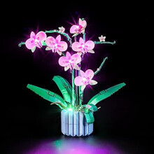 YEABRICKS LED Light for Lego-10311 Creator Orchid Building Blocks Model (Lego Set NOT Included)