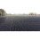 (Black, 40mm Depth) CORE Grass Reinforcement Grass Grids (800 X 800) 2