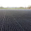(Black, 40mm Depth) CORE Grass Reinforcement Grass Grids (800 X 800) 6