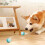 (PINK) Smart rolling ball Electric cat ball toy 5