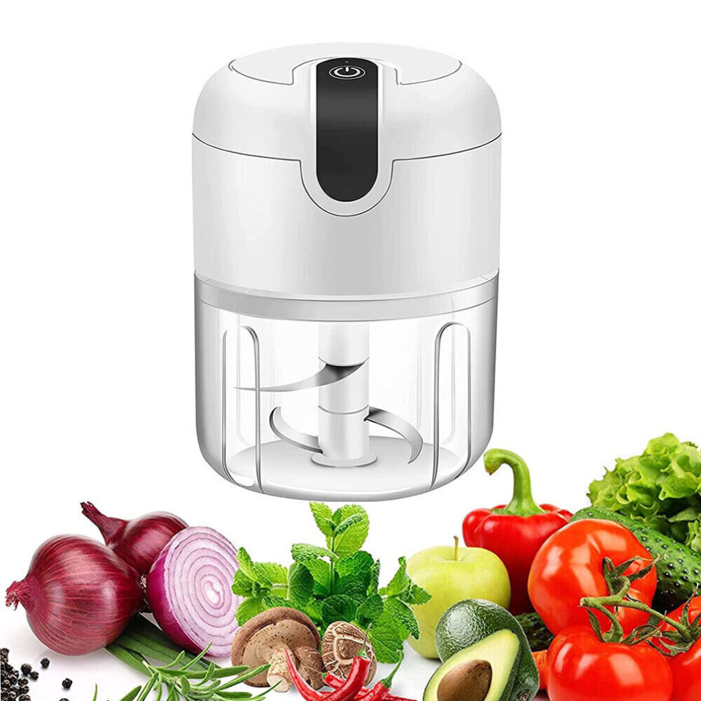 250ML Electric Garlic Press Chopper Chili Onion Fruits Blender Mixer