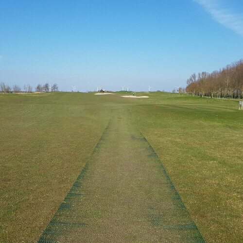 (1000gsm - Heavy Pedestrian) Core Grass Flex Reinforcement Mesh (1m x 10m) 1