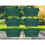 6 Venetian Window Box Trough Planters Small 40cm Plastic Forest Green 1