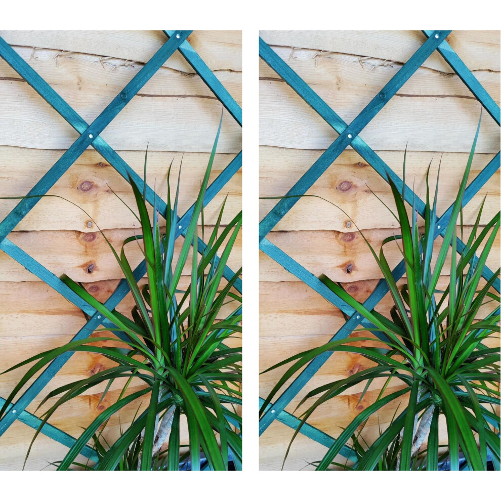 2 x 6ft Expanding Wooden Garden Trellis Climbing Plant Support Green