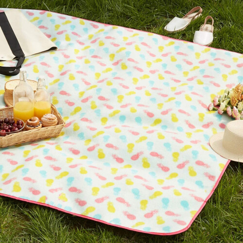 Amazon Amazon Basics Picnic Blanket with waterproof backing, 150 x 195 cm