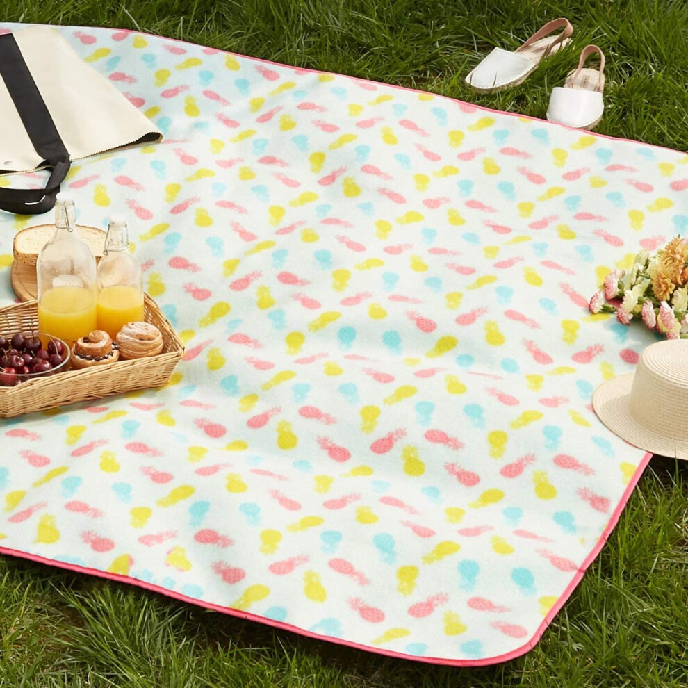 Amazon Basics Picnic Blanket with waterproof backing, 150 x 195 cm