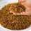 5KG WILD BIRD DRIED MEALWORMS 1